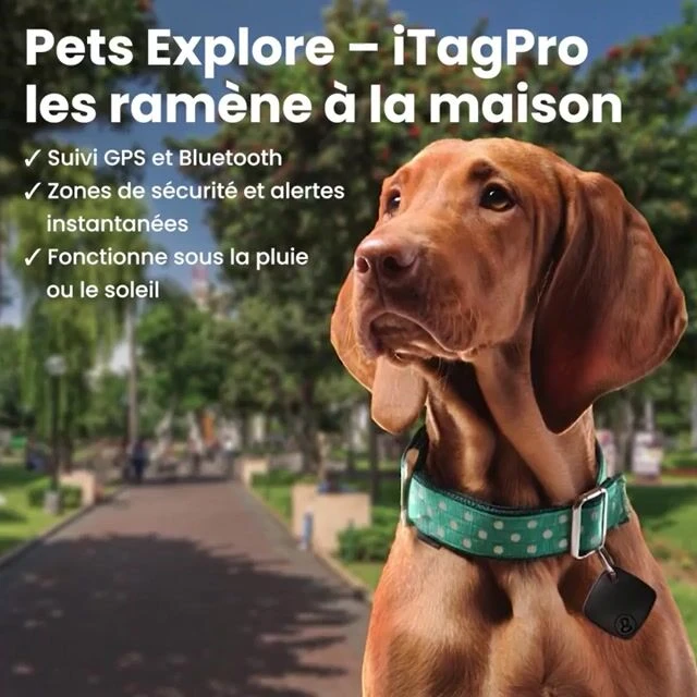 iTagPro image
